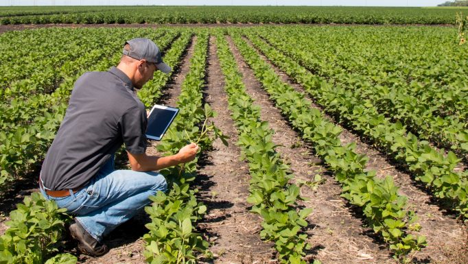 Adobe Stock 123652875 Agronomist in field with tablet