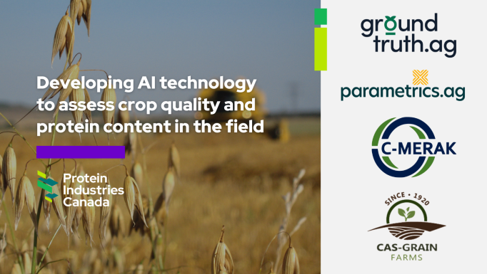 Ground Truth English