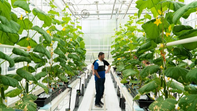 Lucent Bio Sciences 1