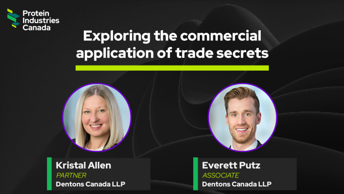 Part 2: Exploring the commercial application of trade
