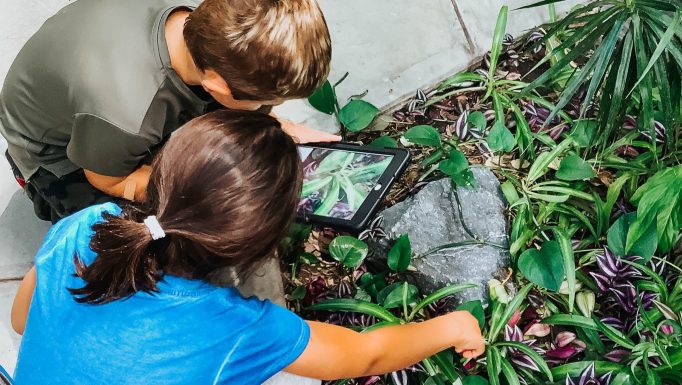 Photo courtesy of Actua 1 crop