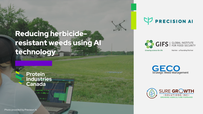 Precision AI English