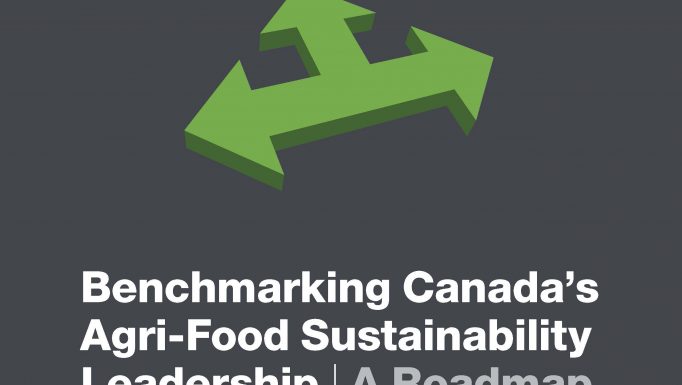 Report Agri Food Sustainability Leadership phase 1 Page 01