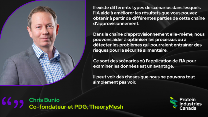 Thoery Mesh quote FR